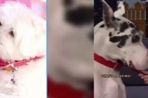 Χατζίδου - Παύλου: "Ποιος θα του το πει"... Το πάρτι γενεθλίων τους και το μήνυμα στην εντυπωσιακή κοινή τούρτα - εικόνα 2