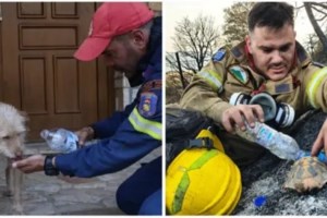 Τροχαίο - σοκ στο Ηράκλειο: Φορτηγό παρέσυρε και διαμέλισε γυναίκα - εικόνα 2