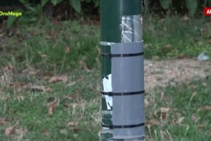 Φλώρινα: Εργαζόμενος του ΑΔΜΗΕ κεραυνοβολήθηκε από κλαδί σε καλώδιο υψηλής τάσης - Τον διασωλήνωσαν