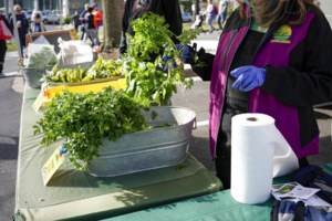 Ίλιον: Στο Αυτόφωρο ο πατέρας της 8χρονης που δέχθηκε σφαίρα στο πόδι από το μικρότερο αδελφάκι της