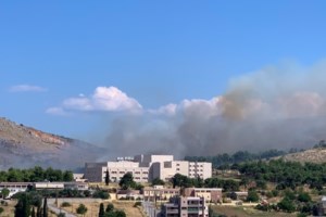 Χαλκίδα: Πυκνοί καπνοί από την πυρκαγιά - Έχει χωριστεί σε τρία μέτωπα [εικόνες] - εικόνα 2