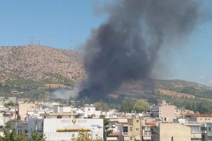 Φωτιά στη Μάνδρα: Υπό έλεγχο η πυρκαγιά - Προσαγωγή 55χρονης ως ύποπτης για εμπρησμό [Εικόνες - Βίντεο] - εικόνα 5