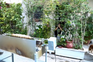 Καιρός: Πάσχα στην παραλία - Θερμοκρασίες ρεκόρ σε πολλές περιοχές της χώρας - εικόνα 2