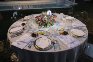 Στην κορυφή του κόσμου τα ελληνικά ελαιόλαδα: Ο ελαιώνας που σπάει όλα τα ρεκόρ