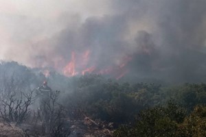 Αργολίδα: Πυρκαγιά στην παραλιακή Ναυπλίου Νέας Κίου [ΕΙΚΟΝΕΣ- ΒΙΝΤΕΟ]