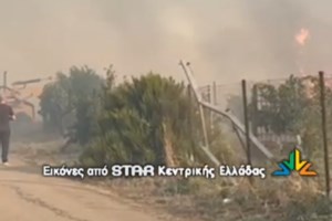 Πύρινος συναγερμός στη Βοιωτία: Δύο μεγάλα μέτωπα σε εξέλιξη - Απανωτά μηνύματα του 112 για τη φωτιά