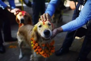 Βιβλίο: 17 αδέσποτες ιστορίες από την αρχαιότητα με ξεναγό τον "Φίλο" από του Φιλοπάππου