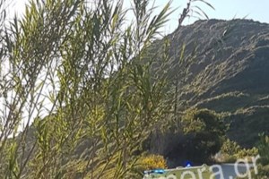 Δράκος του Κάβου: Οι πρώτες εικόνες μετά τη σύλληψη του - Το σημείο που κρυβόταν