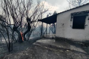 Μητσοτάκης στη Βουλή: Η φωτιά στον Έβρο μπήκε από ανθρώπινο χέρι, χωρίς αμφιβολία- Στα μονοπάτια των μεταναστών - εικόνα 2