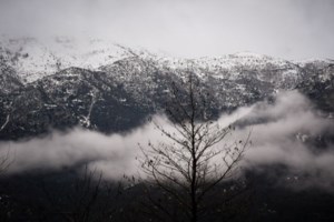 Θεσσαλονίκη: Φαντασμαγορικό "Τοπίο στην ομίχλη"