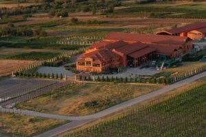 Το ελληνικό κρασί περνάει κρίση: Τα προβλήματα, οι νέες δυνάμεις και οι επενδύσεις από Βαρδινογιάννη - Σαββίδη - εικόνα 4