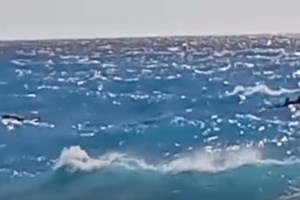 Ρόδος: Καταδίωξη ταχύπλοου που μετέφερε αλλοδαπούς - Έριξε προειδοποιητικές βολές το Λιμενικό - εικόνα 2