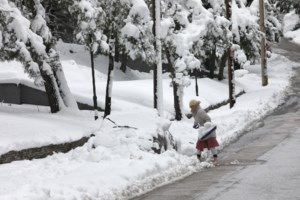 Κακοκαιρία Barbara: Ποιες περιοχές δεν έχουν ρεύμα σε Εύβοια και Πήλιο - Τι αναφέρει ο ΔΕΔΔΗΕ