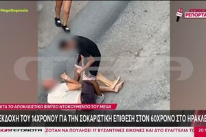 Έφηβοι "διέλυσαν" σχολική βιβλιοθήκη προκαλώντας ζημιές χιλιάδων δολαρίων: Οι μητέρες τους τους παρέδωσαν στην αστυνομία - εικόνα 4