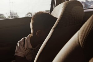 Περιπέτεια για δίχρονο αγοράκι στη Χαλκιδική: Χάθηκε ενώ οι γονείς του μάζευαν ελιές