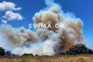 Πρόεδρος Κοινότητας Ραπταίων: Η φωτιά είναι πολύ μεγάλη, καίει μέσα σε χαράδρα [ εικόνες] - εικόνα 2