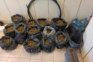 Σάλος στην Ολλανδία: Εργαζόμενοι στο ΥΠΕΞ αποκαλούνταν "πίθηκοι" – Ζήτησε συγγνώμη το Υπουργείο - εικόνα 2