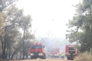 Google: Επεκτείνεται και στην Ελλάδα το εργαλείο ανίχνευσης πυρκαγιών - Πώς θα βλέπετε που έχει φωτιά