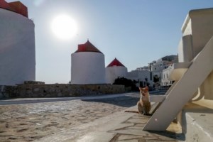 Μήνυμα Μητσοτάκη σε Άγκυρα: Θέλουμε συζήτηση με την Τουρκία χωρίς να αμφισβητήσει κανείς την αποτρεπτική μας ισχύ - εικόνα 3