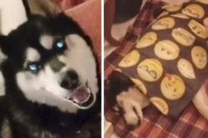 Υπουργική "βόμβα" για την κακοποίηση του Όλιβερ: "Καταλήξαμε στην αιτία θανάτου - Θα καθαρίσει το όνομα της Αράχωβας"