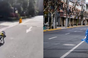 Η Ελένη Οικονόμου περιγράφει το απίστευτο lockdown στη Σανγκάη: Οι αρχές δεν μας αφήνουν να βγούμε ούτε στον κήπο