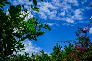 Καιρός: Αλλαγή σκηνικού με "ψυχρή λίμνη" το Σαββατοκύριακο - Σε ποιες περιοχές θα έχει βροχές και καταιγίδες [χάρτες]