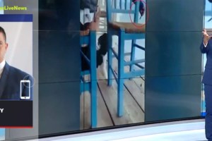 Δικηγόρος 30χρονου στην Αιδηψό: Το γατάκι προσγειώθηκε σε άμμο από πτώση 30 εκατοστών - Χαίρει άκρας υγείας