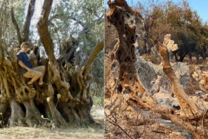 Όταν η ΕφΣυν κατακεραύνωνε την κυβέρνηση για "αλόγιστες και υπερβολικές δαπάνες" για την πυρόσβεση - εικόνα 3