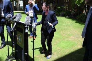 Η Αυστραλία βλέπει τα κοάλα να χάνονται - Χαρακτηρίστηκαν επίσημα είδος υπό εξαφάνιση - εικόνα 2