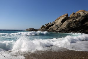 "Μπουγάτσα με χουρμαδόπαστα": Οργιάζει το Twitter με τους φοίνικες της Αριστοτέλους - Τι απαντά ο Ζέρβας