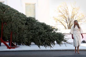 Τραμπ και Μελάνια συνέχισαν την παράδοση των Ευχαριστιών: Ο Αμερικανός πρόεδρος έδωσε χάρη σε δύο γαλοπούλες - εικόνα 5