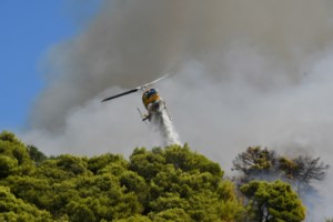 Φωτιά στην Πάτρα: Σηκώθηκαν με το πρώτο φως της ημέρας τα εναέρια μέσα - Ολονύχτια μάχη για να μην κινδυνεύσουν σπίτια [εικόνες] - εικόνα 3