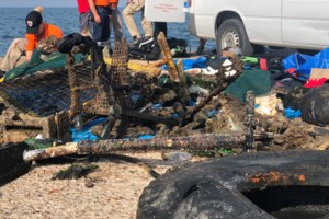 Θεσσαλονίκη: Μετά τα πατίνια πετάνε και... ηλεκτρικά ποδήλατα μέσα στον Θερμαϊκό [Βίντεο] - εικόνα 3