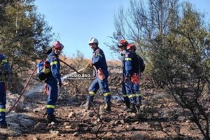 Πυρκαγιά στη Μήλο: Καίνε διάσπαρτες εστίες, ήχησε το 112 [εικόνες, βίντεο] - εικόνα 6