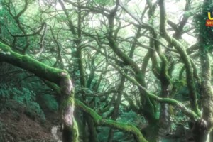 Βρέθηκε νεκρός ο άντρας που αγνοούνταν 10 μέρες στα Τρίκαλα - εικόνα 2