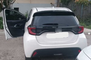 Πανευρωπαϊκή επιχείρηση για τον εντοπισμό κλεμμένων αυτοκινήτων: Τα μισά βρέθηκαν στην Ελλάδα