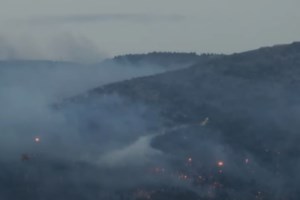 Φωτιά στη Φθιώτιδα: Κατέληξε ο 67χρονος μελισσοκόμος που υπέστη πολλαπλά εγκαύματα στην πυρκαγιά της Κάτω Τιθορέας