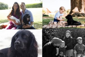 Οι τετράποδοι φίλοι των βασιλικών οικογενειών: Aπό τα corgi της Ελισάβετ μέχρι τα κόκερ σπάνιελ του Ουίλιαμ και της Κέιτ - εικόνα 3