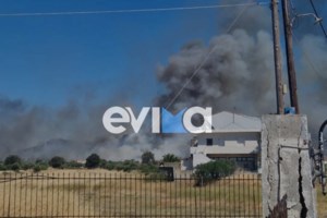 Φωτιά στην Εύβοια: Συνελήφθη 59χρονος που εκτελούσε εργασίες - Κάηκε επιχείρηση, σοβαρές ζημιές σε αυλές σπιτιών - εικόνα 2