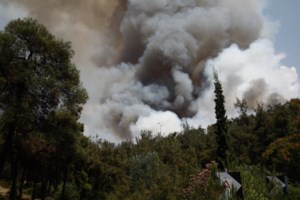 Φωτιά στην Κάρυστο: Κοντά σε κατοικημένη περιοχή οι φλόγες - Συναγερμός για τους δυνατούς ανέμους στην περιοχή
