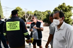 Φωτιές στην Αττική: Ολονύχτια μάχη για να σωθούν τα Βίλια - Μάχη να μην περάσουν οι φλόγες στο Πόρτο Γερμενό [Εικόνες-Βίντεο] - εικόνα 7