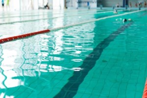 Σοκ από την επίθεση που δέχτηκε 35χρονη από πιτ μπουλ που υιοθέτησε: Της έκοψε τη μύτη - "Νόμιζα ότι θα πεθάνω" - εικόνα 2