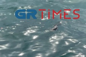 Τραγωδία στη Θεσσαλονίκη: Νεκρή 23χρονη σε τροχαίο - Έριξε το αυτοκίνητό της σε καγκελόπορτα