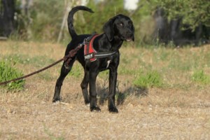 Η Μόνικα γεννήθηκε στον δρόμο - Aκόμα κι έτσι δεν υπήρξε ούτε μια στιγμή στη ζωή της που να μην ήταν χαριτωμένη - εικόνα 4