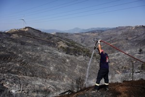 Αυτά είναι τα 13 μέτρα στήριξης των πυρόπληκτων: Πρώτο βοήθημα ως 10.000 ευρώ, επιδότηση ενοικίου, φοροαπαλλαγές - εικόνα 2