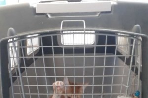 Πάνω από 1.000 πρόσφυγες στη Λαμπεντούζα - Ο δήμαρχος ζήτησε να κηρυχθεί σε κατάσταση έκτακτης ανάγκης