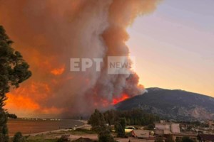 Εντοπίστηκε εμπρηστικός μηχανισμός στη Δροσιά - Προσαγωγή υπόπτου - εικόνα 2