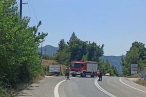Εύβοια: Μεγάλη φωτιά στο Αλιβέρι- Ολονύχτια μάχη με τις φλόγες - Καίει σε δύσβατο σημείο [Εικόνες - Βίντεο] - εικόνα 6