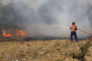 Φωτιές: Μάχη με τις αναζωπυρώσεις σε Έβρο και Ροδόπη - 74 πυρκαγιές σε όλη τη χώρα - εικόνα 2