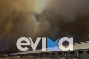 Μάχη με πύρινα μέτωπα σε Εύβοια, Κύθηρα, Μεσσηνία: Κάηκαν σπίτια, πυροσβεστικά - Μπαράζ  112 - Φωτιά και στην Αττική - εικόνα 10